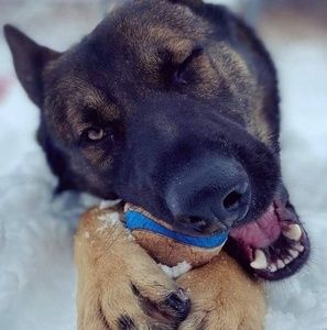 Meet your Posher, Sheila